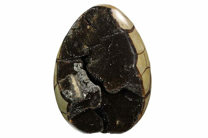 Septarian Dragon Egg Geode - Black Crystals #122526
